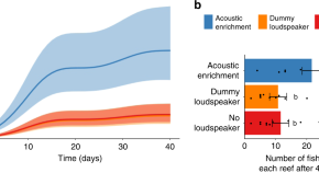 research article about