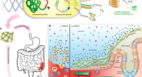 primary research article biology