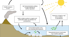 environmental science research title example