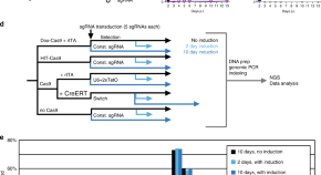 primary research article biology