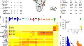 research on malaria diagnosis