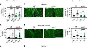 primary research article biology