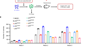 good topics for biology research papers