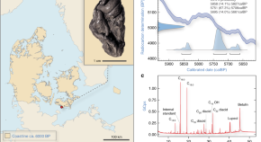 research article about