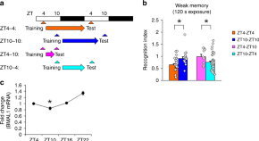 research article about