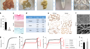 primary research article biology