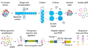 research article for biology