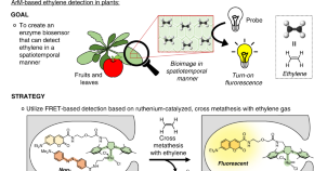 good biology research topics