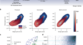 research article about