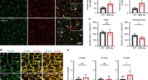 research article about