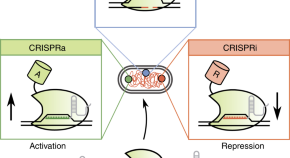 five examples of research projects in cell biology