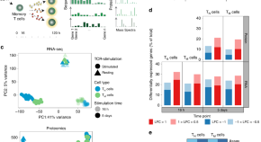 five examples of research projects in cell biology