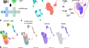 five examples of research projects in cell biology