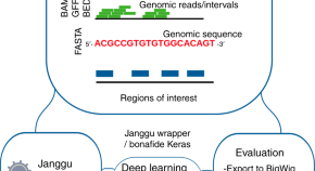 five examples of research projects in cell biology