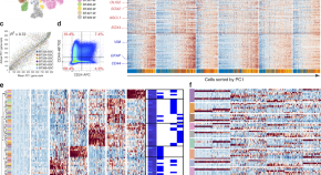 interesting research papers biology