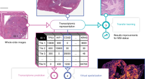 five examples of research projects in cell biology