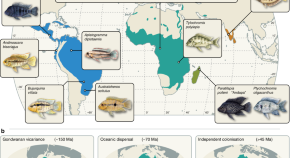 research title example about environment