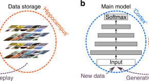 five examples of research projects in cell biology