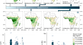 research on malaria diagnosis