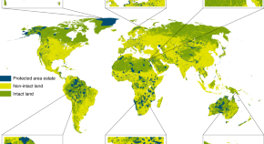 research title example about environment