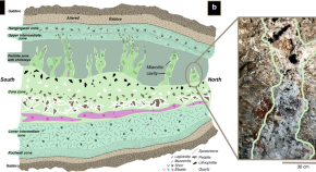 example of title research about environment