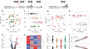 research on malaria diagnosis