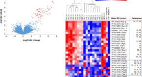 research on malaria diagnosis