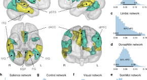 article about a scientific research