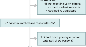 term paper about covid 19 pandemic