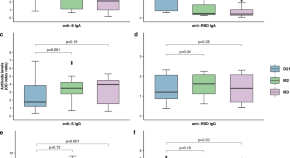 sample informative essay about covid 19