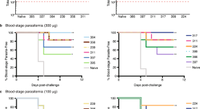 research on malaria diagnosis