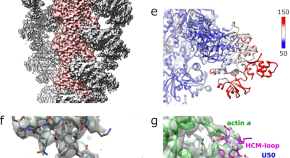 research on malaria diagnosis