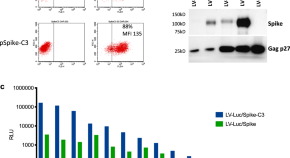 research on covid 19