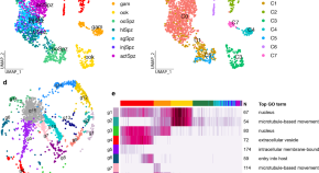 research on malaria diagnosis