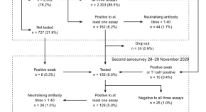 essay on the topic covid 19