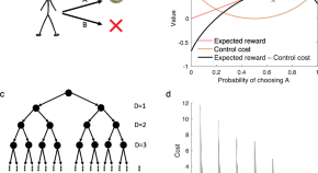 research paper on social behavior