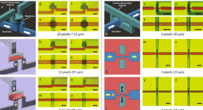 top research topics in physics