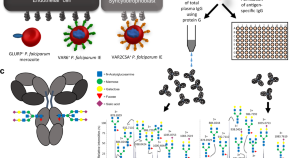 research on malaria diagnosis