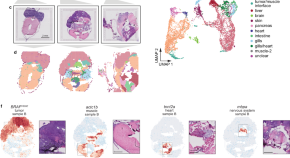 best healthcare research topics