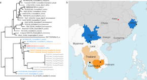 sample informative essay about covid 19