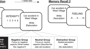 social science research study