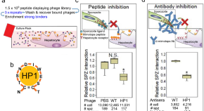 research on malaria diagnosis