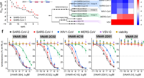 research on covid 19