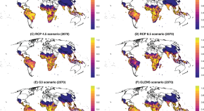 research on malaria diagnosis