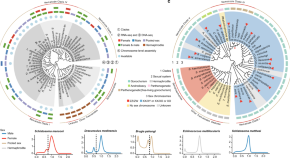 top 10 research topics for 2022