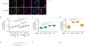 write an essay on gene mapping