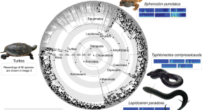 top 10 research topics for 2022