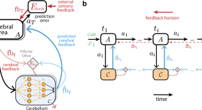 new research on dyslexia