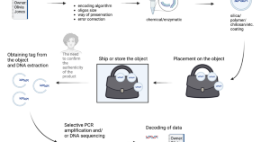 latest research paper on dna computing