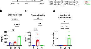 case study diabetes and insulin signaling